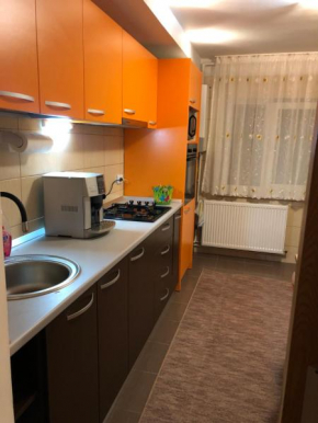 Iasomiei Residence with free parking